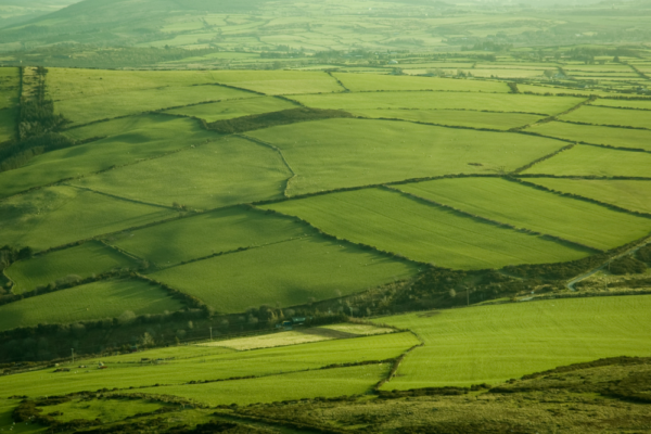 ireland_support_6 ireland_support_6