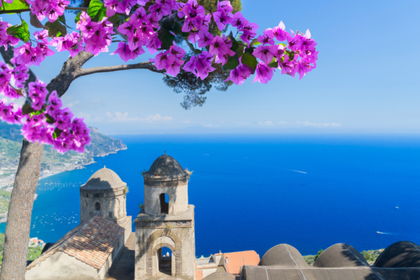 italy_support_7 italy_support_7