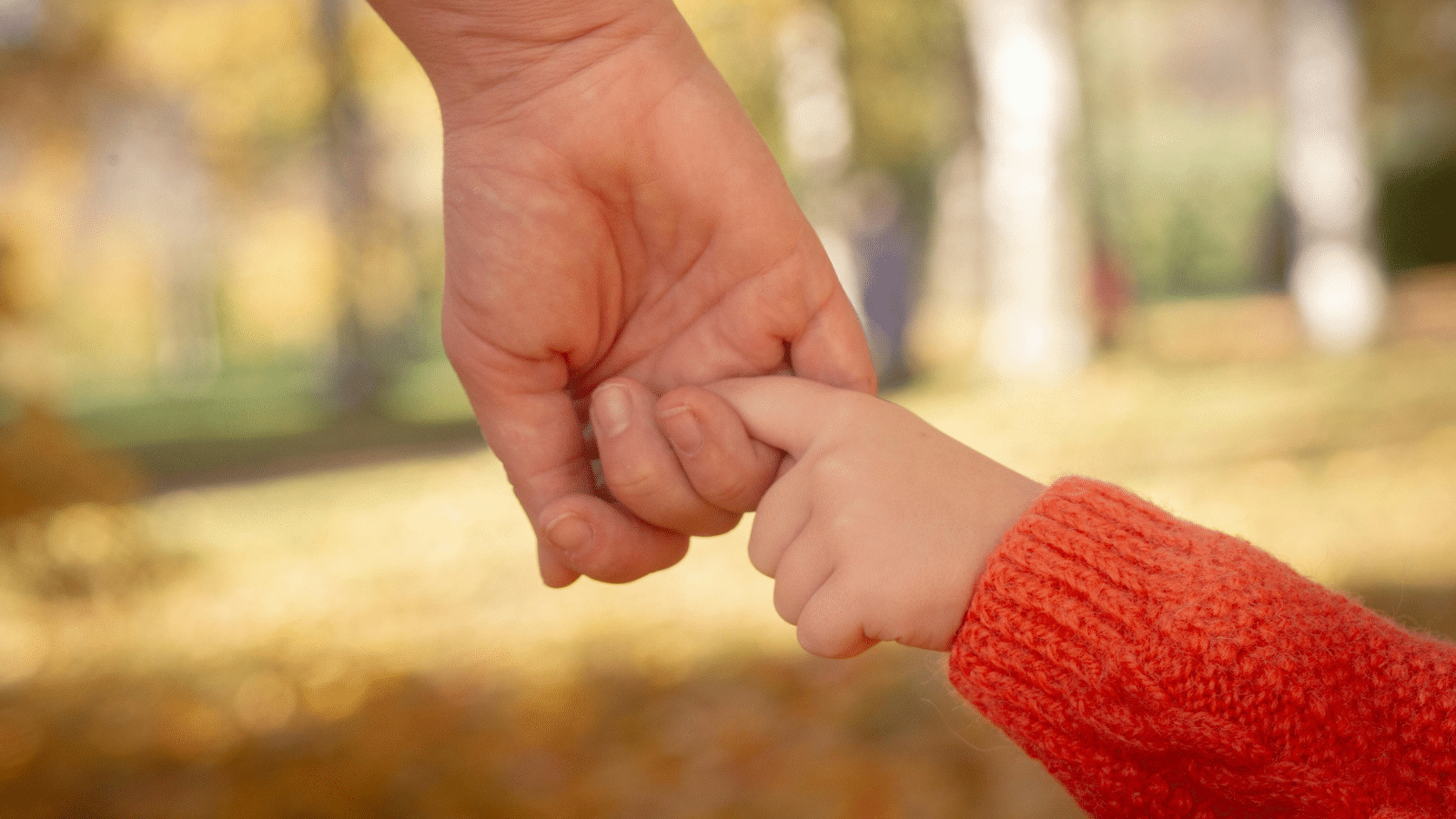 Study Abroad for Single Parents: Is It Really Possible?